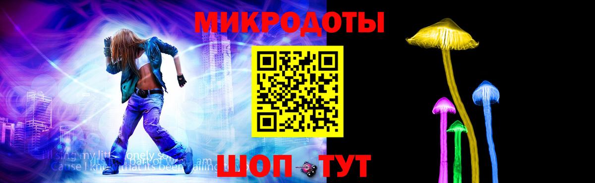 Галлюциногенные грибы Psilocybe Егорьевск